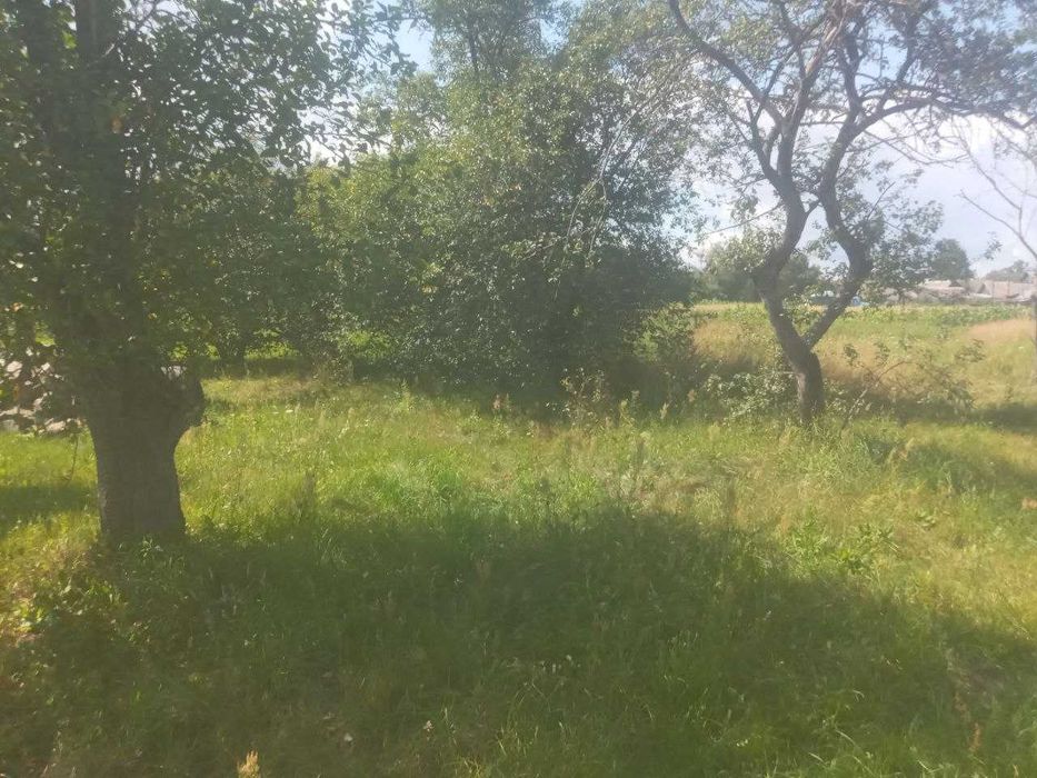 Пропоную до продажу будинок / дачу