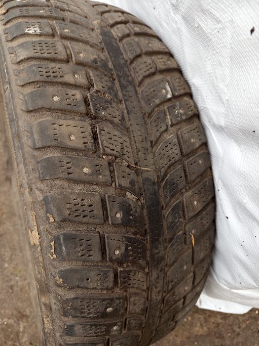 Шины зимние шипованые