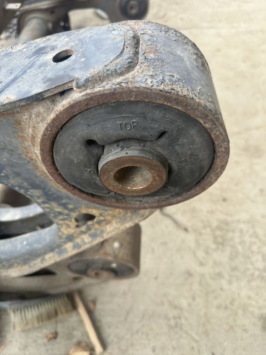 Вісь напівпречіпа гігант