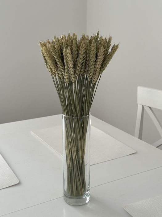 Колоски Пшениці натуральні, можливий опт, Жито, Ячмінь, Льон