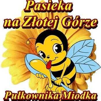 Matki pszczele unasiennione Buckfast GZ, Sklenar, Cele.