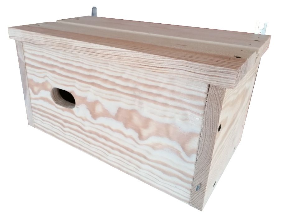 Budka lęgowa dla jerzyka