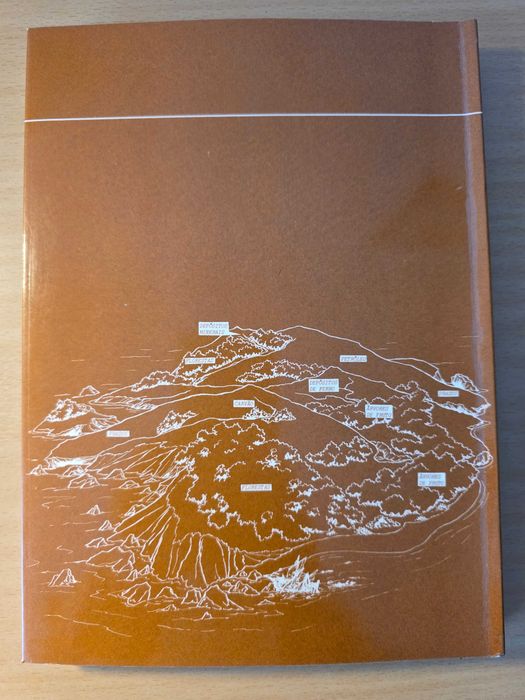 Livro "Ciências do Ambiente - Livro do Professor" de Ana Maria Domingos