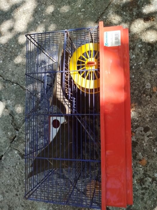 Gaiola para hamster