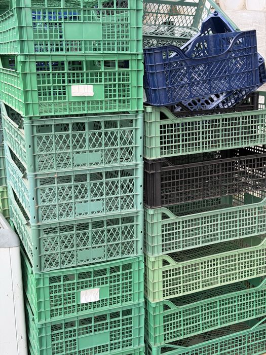 Ящики пластикові пластмасові для фруктів і овочів опт роздріб