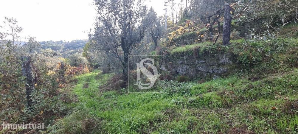 Terreno  Venda em Candemil,Amarante