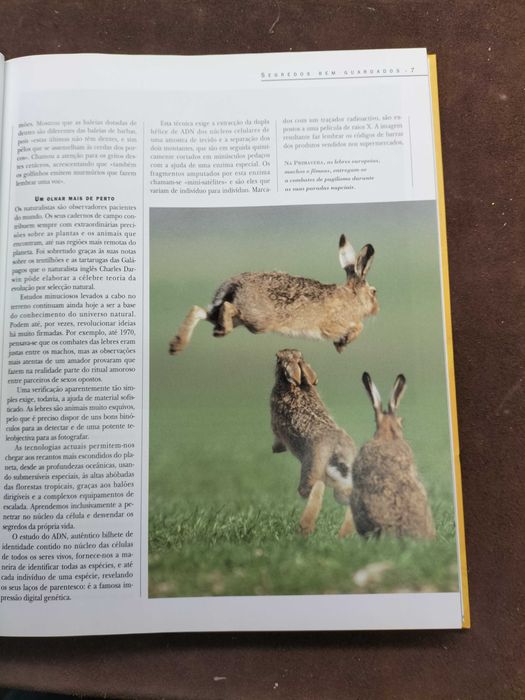 Livro " A Vida Secreta Dos Animais" (CXL1)