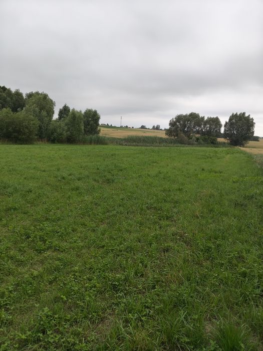 Siedlisko marzeń: 1,08 ha zarybionych stawów + 3399 m² budowlanej | 4 km od Sztumu