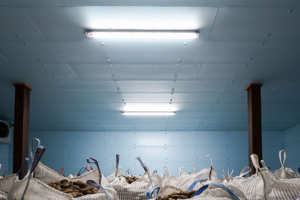 Izolacja Ocieplenie Dachu Ścian Sufitu Stropu Płyta STYRODUR XPS AGRO