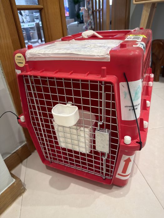 Caixa transporte animais IATA approved