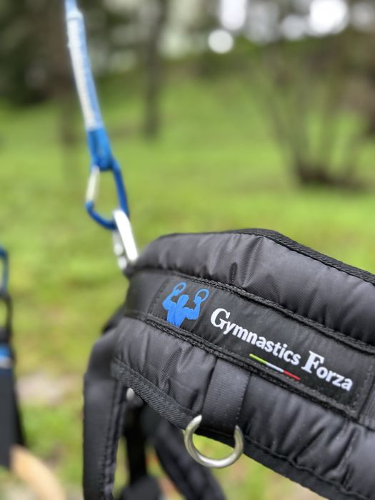 Argolas profissionais + cinto forza system (retira peso)