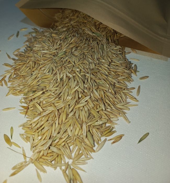 Овес для лікувальних відварів ціна за 2кг