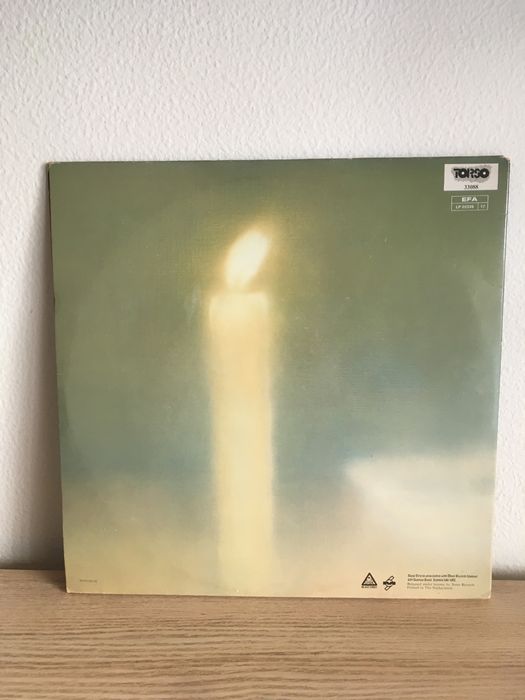 Sonic Youth Daydream Nation Vinil