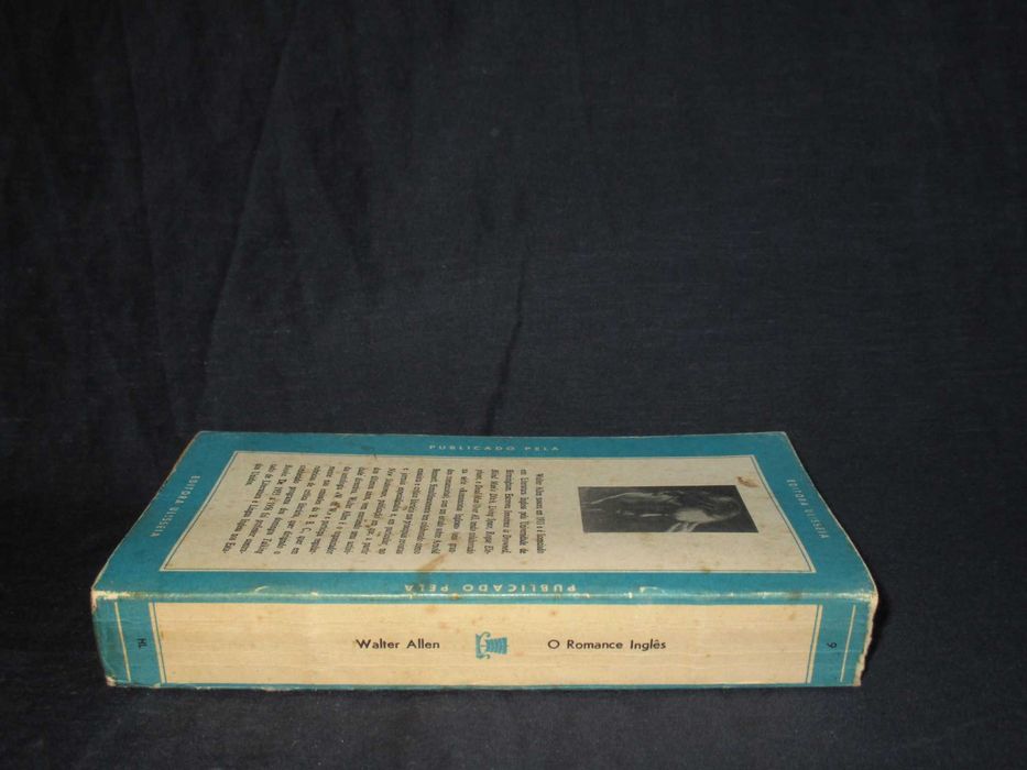 Livro o romance inglês Walter Allen