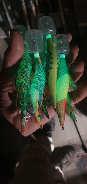 Amostras para pesca choco