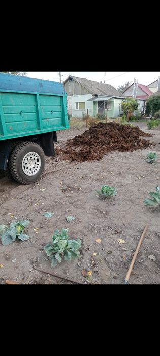 Вивезення сміття