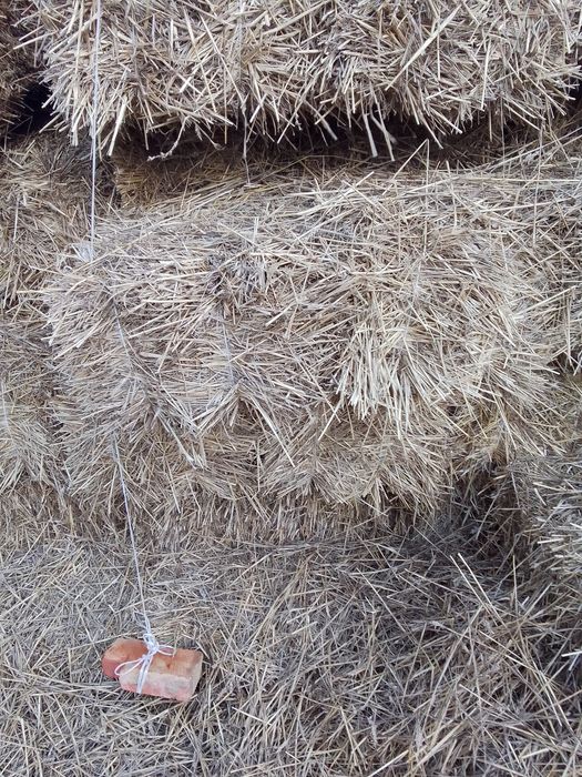 Продам тюки пшеничні