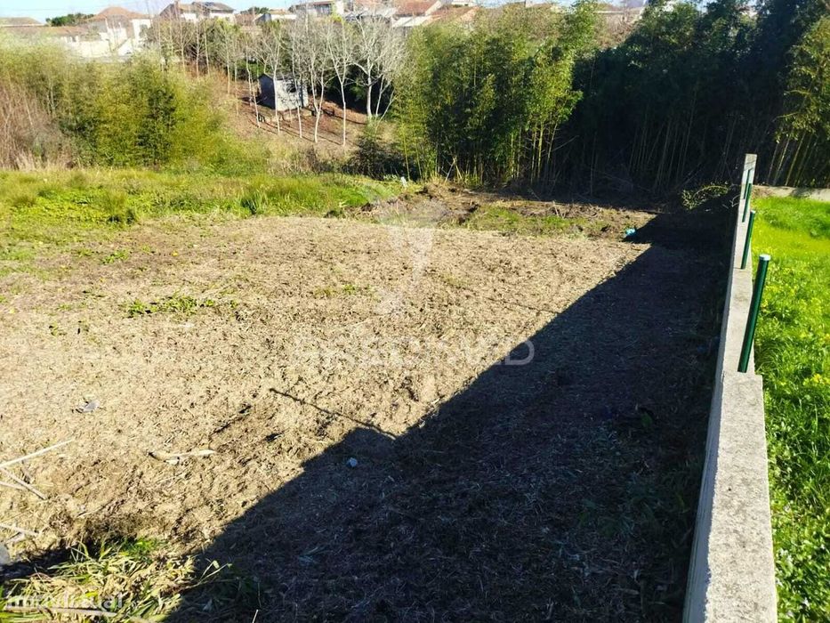 Terreno Urbano em Mamodeiro