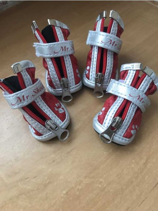 Взуття для собак
