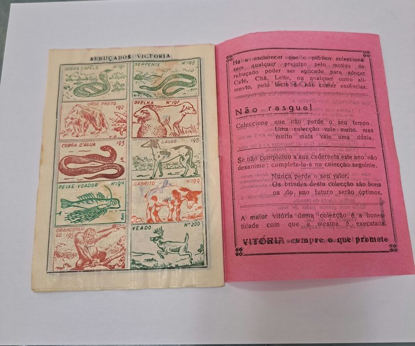 Caderneta ( Vitoria]