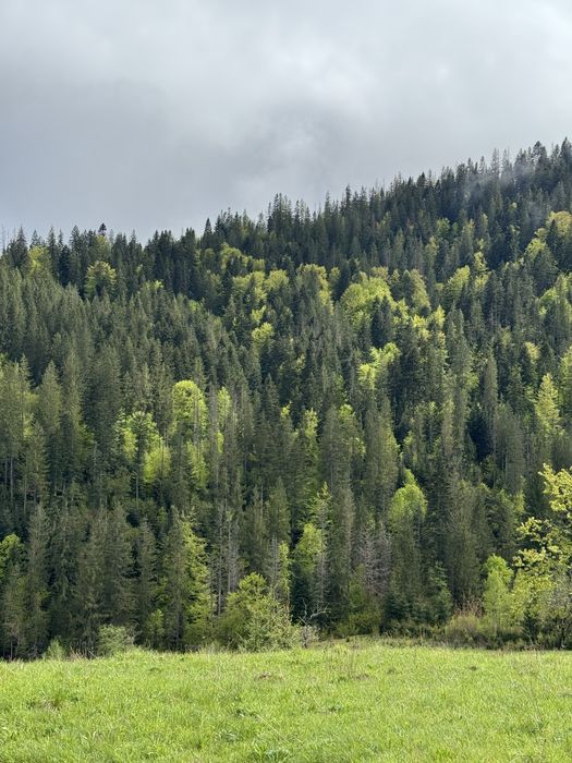 Ділянка в Карпатах, Микуличин земля біля потічка, біля заповідника ,