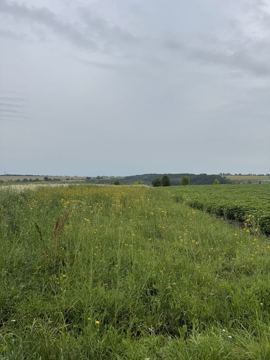 Продаж земельної ділянки