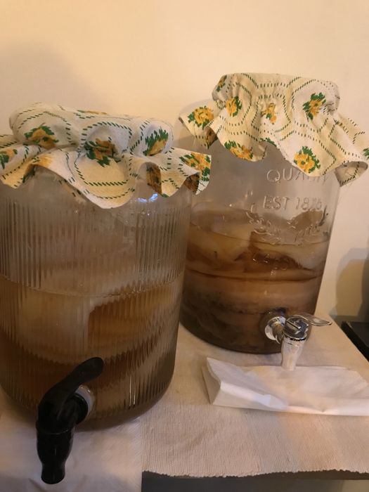 Kombucha artesanal Daterrapraboca ou scoby