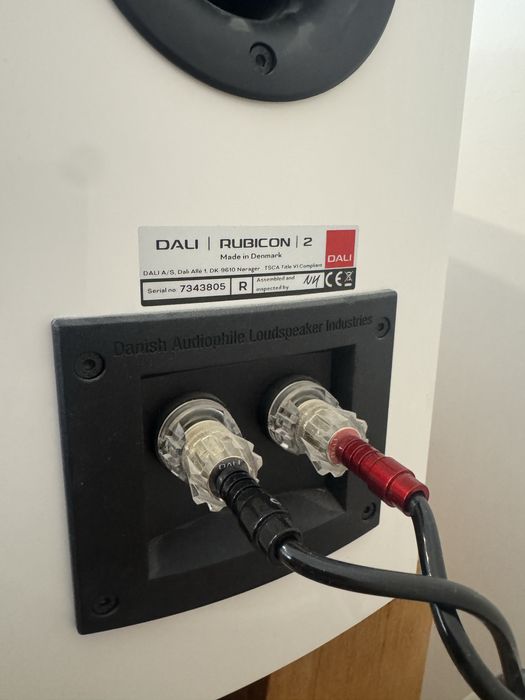 Dali Rubicon 2 - white