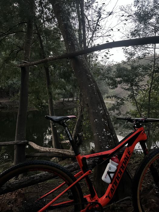 cannondale scalpel si carb 3