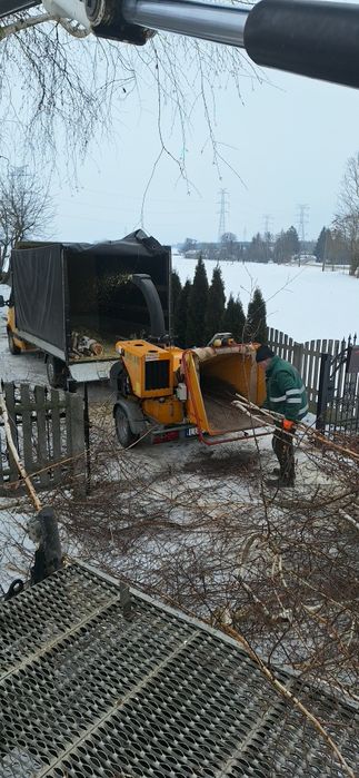 Zrębki z drzew iglastych oraz lisciastych