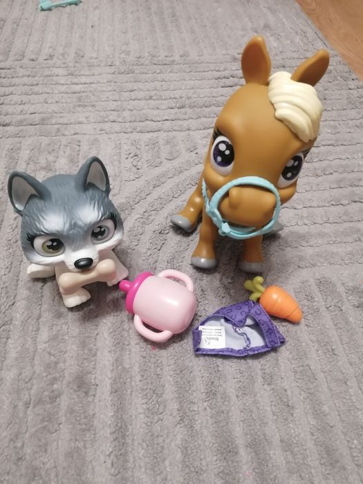 Pamper petz konik i pies