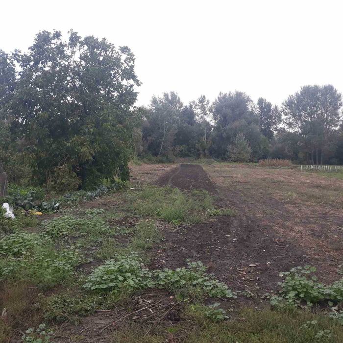 Продаж окремого будинку в селі в Чернігівській обл. Ніжинський р-н
