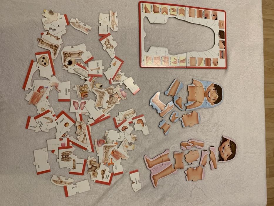 APRENDO...3 Jogos Educativos: Abecedário, Corpo humano, Contar