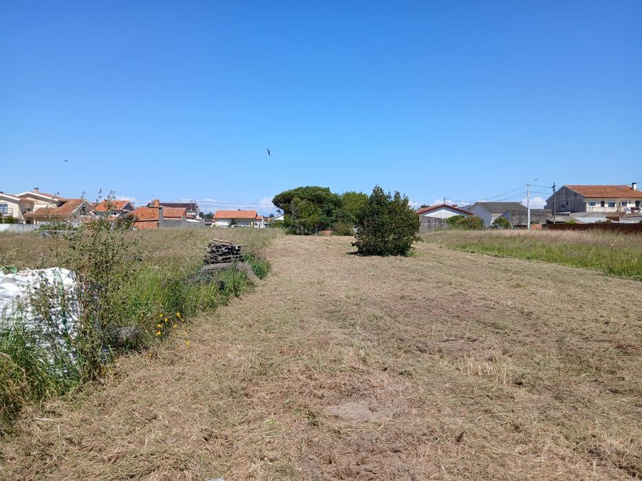 Limpeza de terrenos