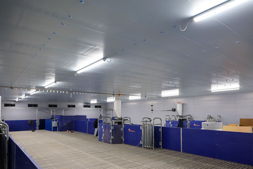 Izolacja Obory Chlewni Tuczarni Kurnika Wiaty Hali Styrodur XPS AGRO
