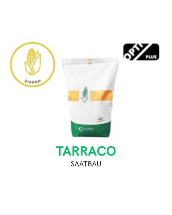 Nasiona kukurydzy - Tarraco (Saatbau) – FAO 270 – 50 tys. nasion