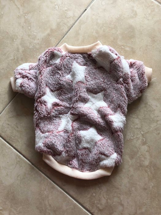 roupa nova animal estimação