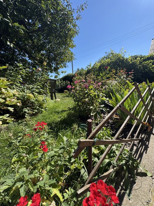 Продам будинок на Новомиколаївці