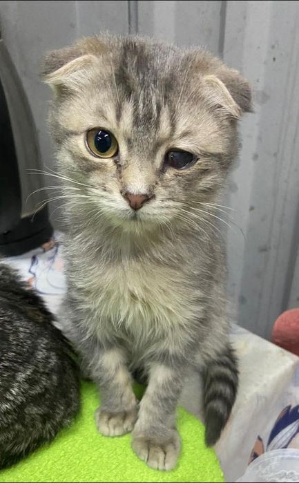 Хлопчик терміново шукає люблячу сім'ю