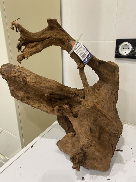 Корень коряга корч пень дерево Мангр с Малайзии