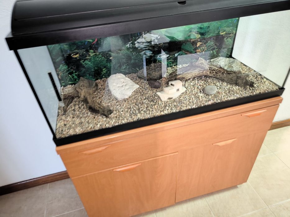 Aquário C/ Móvel 300L