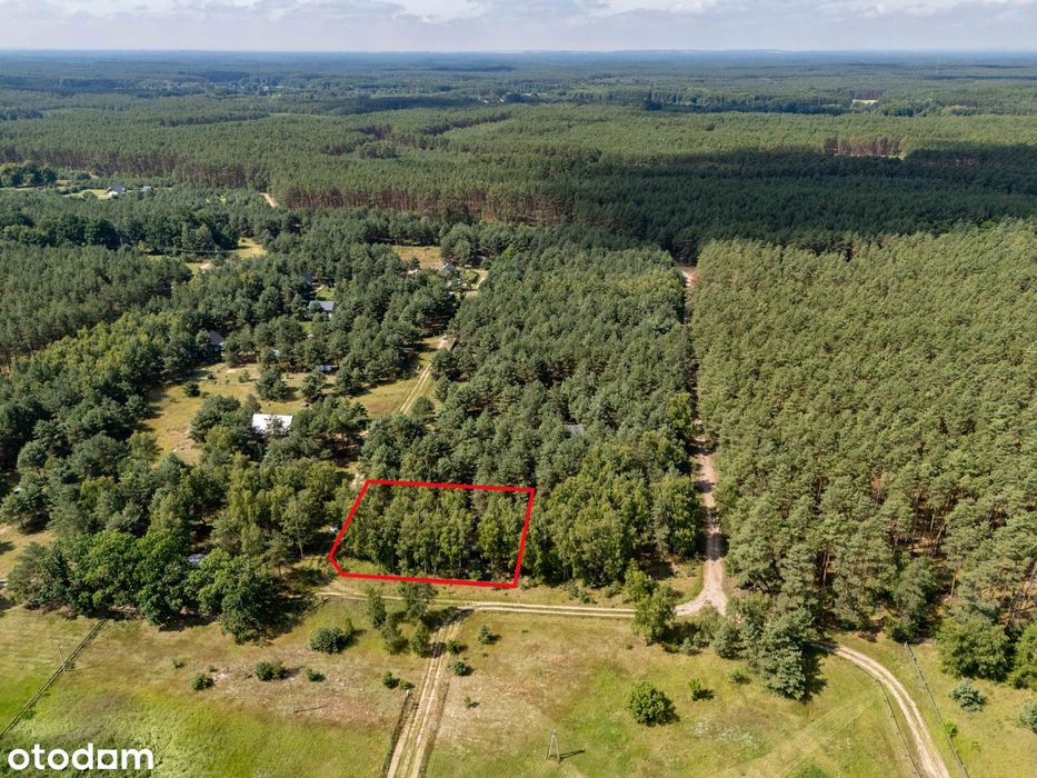 Dom – Nowy Tomyśl - Widok 2