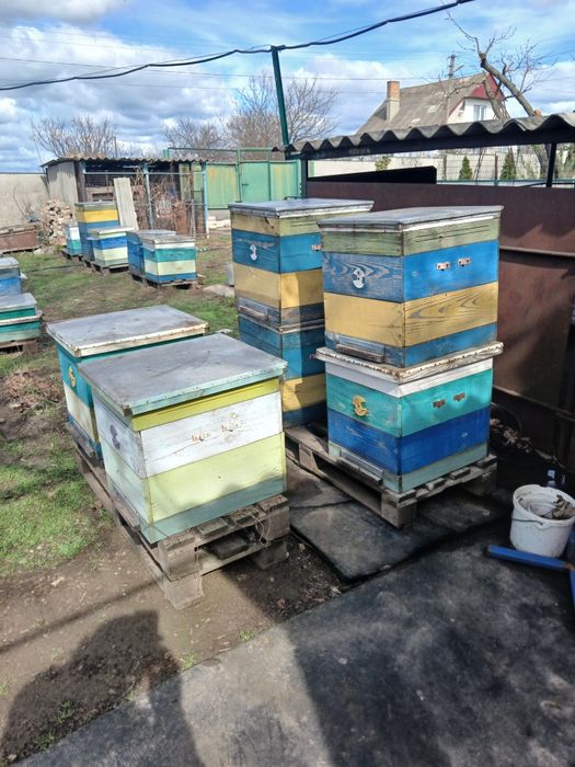 Продам вулики та рамки