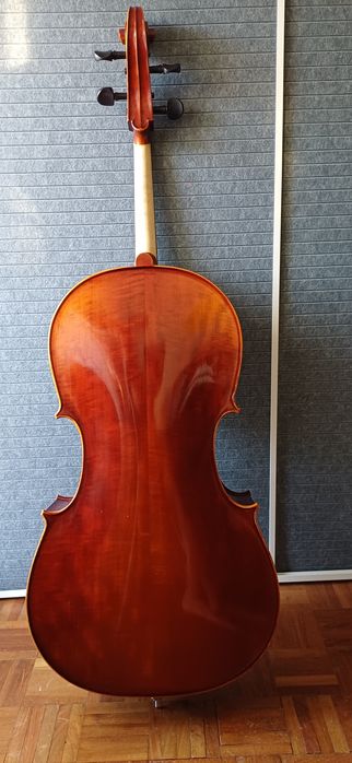 Violoncelo(Sasha&Vieira)+ Capa semirrígida