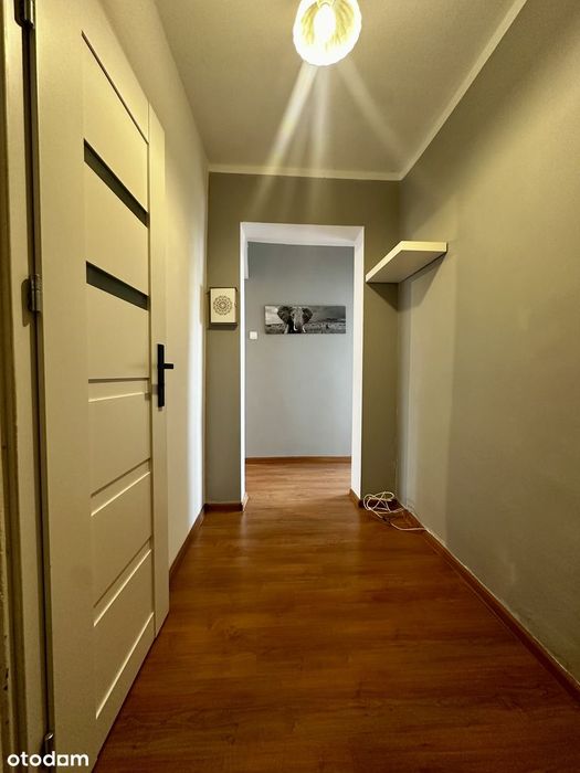 Dwupokojowe mieszkanie z balkonem do wynajęcia