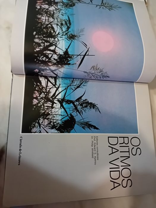 Livro Enciclopédico Ritmos da Vida