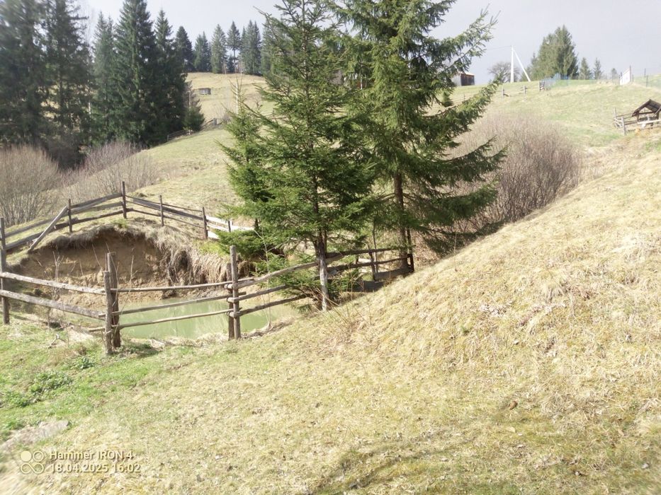 Земельна ділянка