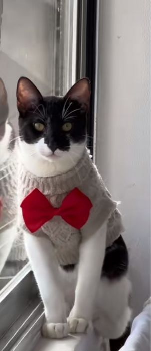 Quarto disponivel S/Caução