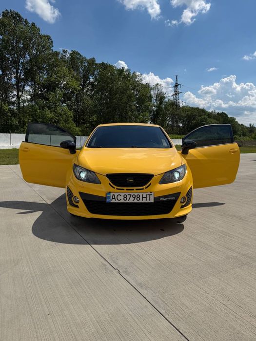 Seat Ibiza Cupra 2010