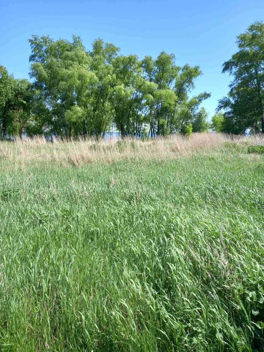 Вихід до води, Глібівка, 8.5 соток, ОСГ.  Супермісце!